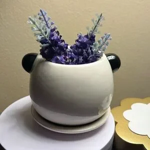 Ceramic Panda Bear Planter Adorable 4”x4” NWT