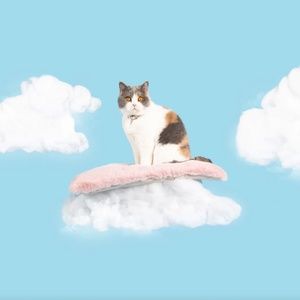Cheshire And Wain London Cat Cloud® Throw & Bed Set