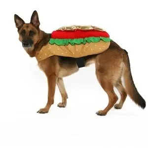 CL hotdog costume for dogs
