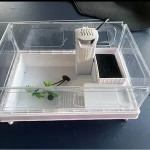 Clear Plastic Reptile Terrarium with Accessories