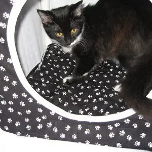 Cozy Cube Hideaway Pet Cave For Cat Or Small Dog