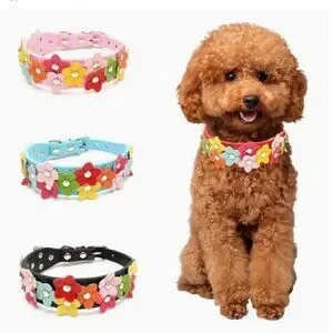 Della Terese Colorful Flowers On Rosy Red Dog Collar Extra Small Gift Packaged