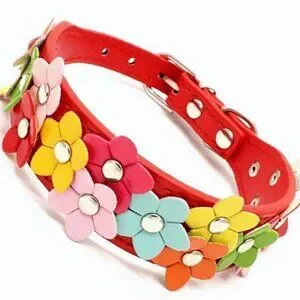 Della Terese Colorful Flowers On Rosy Red Dog Collar Extra Small Gift Packaged