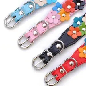 Della Terese Colorful Flowers On Sky Blue Dog Collar Extra Small Gift Packaged