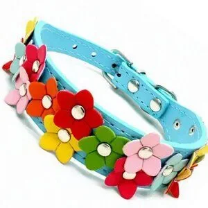 Della Terese Colorful Flowers On Sky Blue Dog Collar Extra Small Gift Packaged