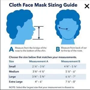 Disney Princess Face Mask