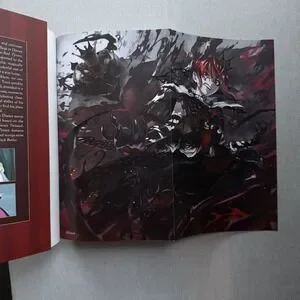 Disney Twisted-Wonderland: Rose-Red Tyrant: The Novel By Hioki Jun