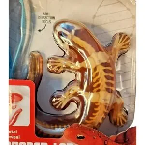 Dissect It Synthetic Dissection Kit - Salamander Lab