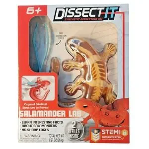 Dissect It Synthetic Dissection Kit - Salamander Lab