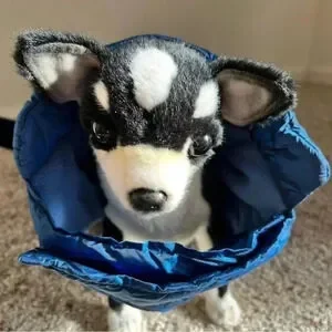 Dog Cat Coat Puffer Nano Jacket Iridescent Blue Silk And Down Feel Medium