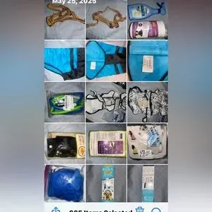 dog clothing and accessories all sizes