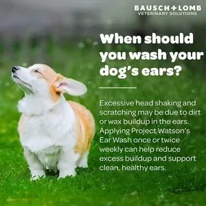 Dog Ear Wash Gentle Cleansing Project Watson Bausch+Lomb 4‎ Oz Ear Health -READ
