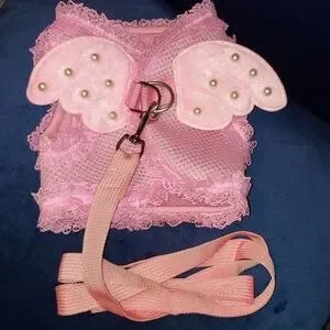 Doggie Wear Angel Outfit