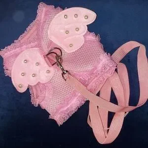 Doggie wear Angel outfit