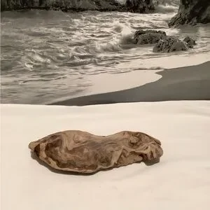 Driftwood Driftwood Piece For Crafting Reptile Habitats