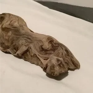 Driftwood Driftwood Piece For Crafting Reptile Habitats