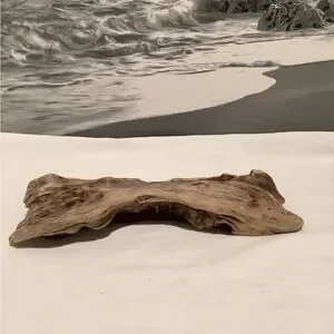 Driftwood Driftwood Piece For Crafting Reptile Habitats