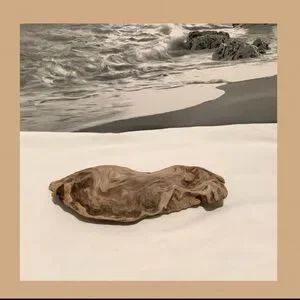 Driftwood Driftwood Piece For Crafting Reptile Habitats