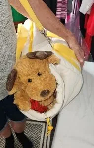Easy Carry Cozy Carrier Bag/Bed for pets