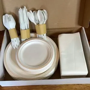Eco Nudge Disposable Dining Set serves 25 Guests Eco Friendly Biodegradable