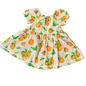 Eleanor Rose Pixie Top Pink Orange Fruit & Brailey Shorts Orange NEW Size 7-8