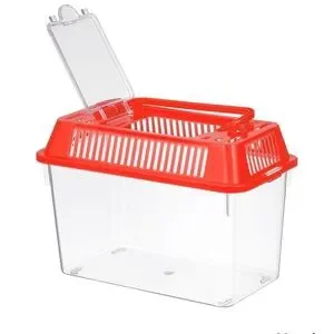 EUC Portable Reptile Habitat Turtle Pet Fish Aquarium With Decor Palm Tree