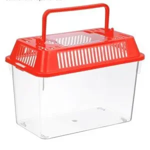 EUC Portable Reptile Habitat Turtle Pet Fish Aquarium With Decor Palm Tree