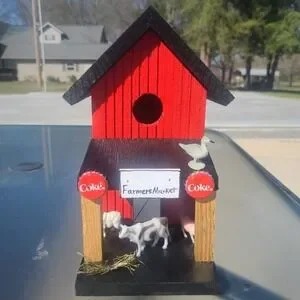 Farmers Market Custom Made New Bird House Amazing Detail & Color 11' by 11'
