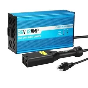 FLNGR Golf Cart Smart Charger 36V 12AMP D Plug