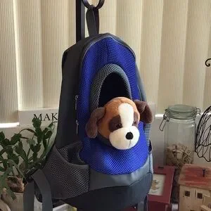 Foldable Mesh Small Pet Carrier Backpack