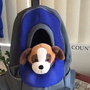 Foldable Mesh Small Pet Carrier Backpack