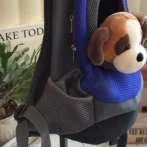 Foldable Mesh Small Pet Carrier Backpack