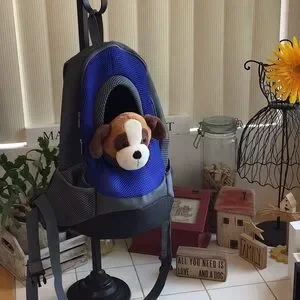Foldable Mesh Small Pet Carrier Backpack