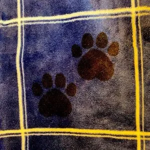 French Connection Dog Blanket