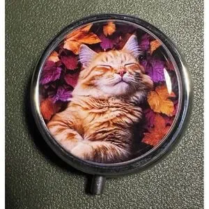 Ginger Orange Tabby Cat Floral Medicine Vitamin Pill Box New