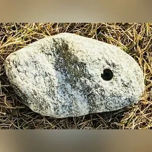 Granet Aquarium/Terrarium Rock W/Hole Drilled 4 Inserting Live/Artaficial Plants