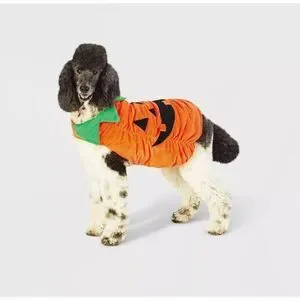 Halloween Plush Pumpkin Dog and Cat Costume - Hyde & EEK Boutique Medium