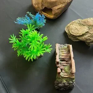 Hamster Mouse Gerbil Aquarium Accessories Habitat