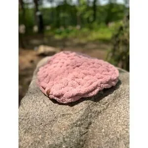 Handcrafted Cat Bed Pet Bed Small Dog Bed Biscuit Dough