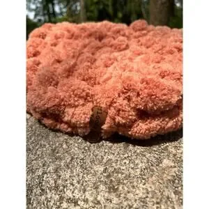 Handcrafted Cat Bed Pet Bed Small Dog Bed Biscuit Dough