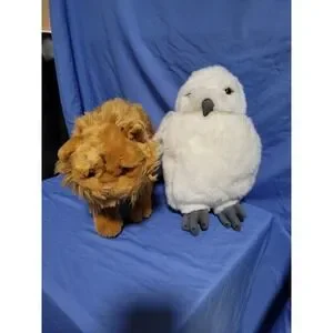harry Potter Crookshanks And Hedwig Plush Universal Studios