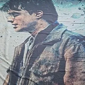 Harry Potter Tapestry 80x65 Decor Wall Accent