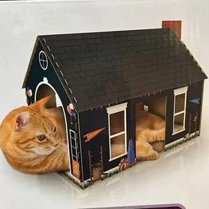 HEART TO TAIL TAILGATE CAT SCRATCHING PLAYHOUSE WITH CATNIP CAT HOUSE NEW IN BOX