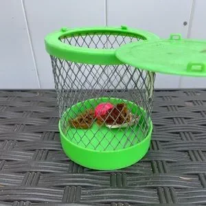 Hermit Crab Cages With Extra Shells For Crab
