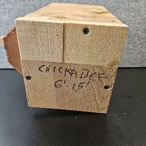 Homemade Wood Bird House Quirky Rustic 10x9x7