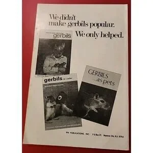 How To Raise And Train Gerbils By D G Robinson Jr Paperback
