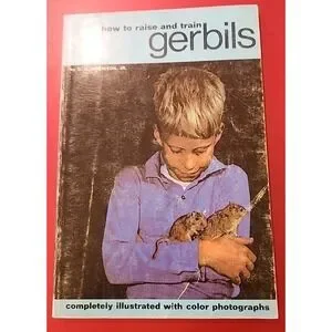 how to raise and train gerbils By D G Robinson Jr Paperback