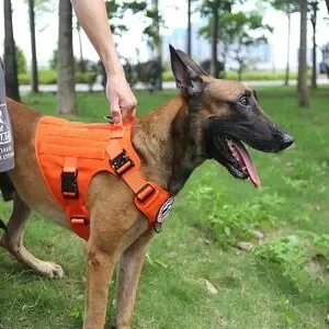 Hunting Dog Harness
