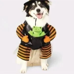 Hyde & EEK Witch Pet Costume Size Medium Black/Orange Striped Pet Outfit