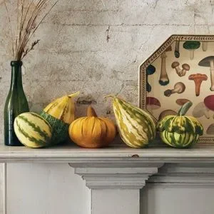 John Derian Pillow Squash